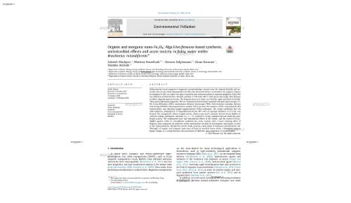 Organic and inorganic nano-Fe3O4: Alga Ulva flexuosa-based synthesis, antimicrobial effects and acute toxicity to briny water rotifer Brachionus rotundiformis*